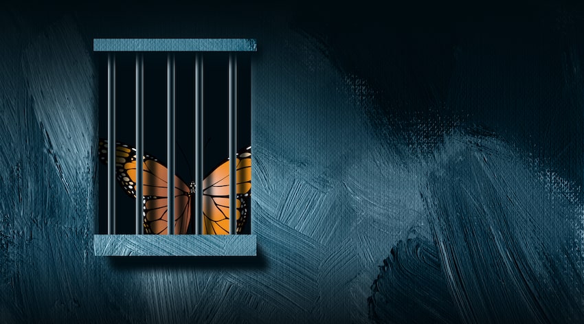 Papillon en prison