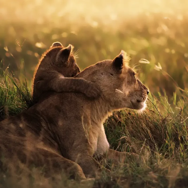 Parent Manipulateur | Comment protéger son enfant ?