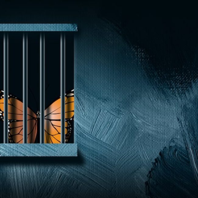 Papillon en prison